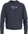 Tommy Jeans Sweaters Blue In Blu Blu E Verdi