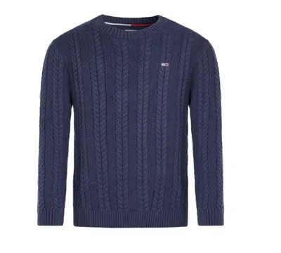 Tommy Jeans Sweaters Blue