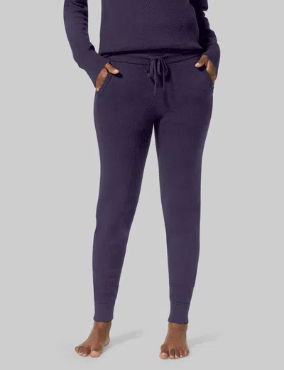 Tommy John Women's Sweater Lounge Jogger Pants In Purple