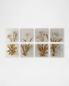 Tommy Mitchell Agapanthus 8-panel Wall Art In Gild/white