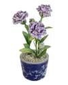 Tommy Mitchell Carnation January Birth Flower In Ceramic Pot In Deep Lavender