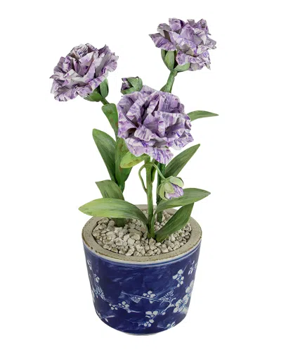 Tommy Mitchell Carnation January Birth Flower In Ceramic Pot In Multi