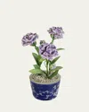 Tommy Mitchell Carnation January Birth Flower In Ceramic Pot In Blue