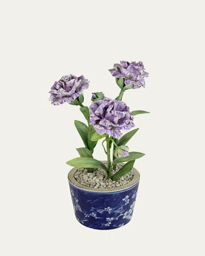 Tommy Mitchell Carnation January Birth Flower In Ceramic Pot In Blue
