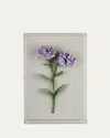Tommy Mitchell Carnation January Birth Flower Wall Art In Gray
