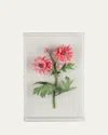 Tommy Mitchell Crysanthemum November Birth Flower Wall Art In Pink