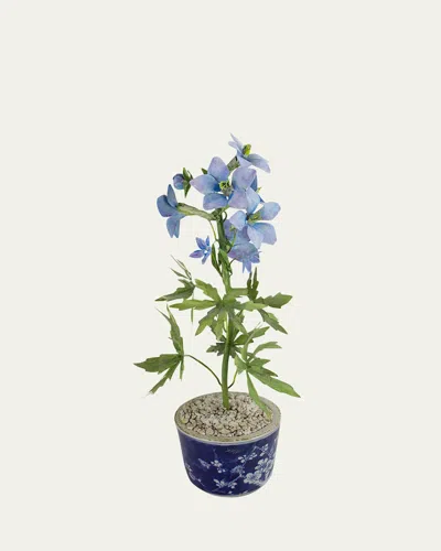 TOMMY MITCHELL DELPHINIUM JULY BIRTH FLOWER IN CERAMIC POT