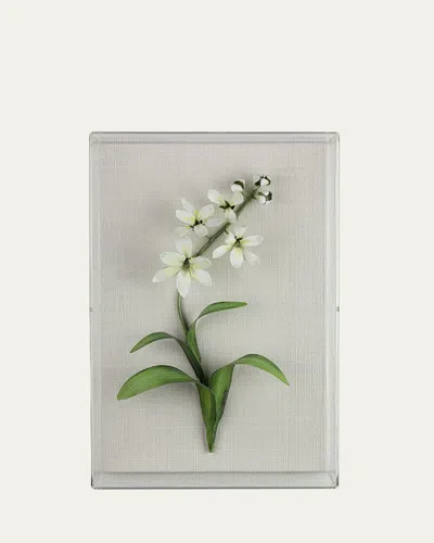 Tommy Mitchell Freesia March Birth Flower Wall Art In Green