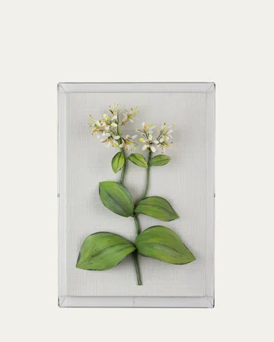 Tommy Mitchell Honeysuckle June Birth Flower Wall Art In White