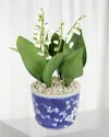 Tommy Mitchell Lily Of The Valley May Birth Flower In Ceramic Pot In Blue