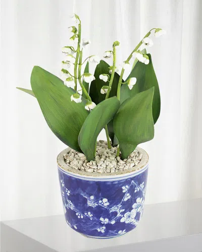 Tommy Mitchell Lily Of The Valley May Birth Flower In Ceramic Pot In Blue