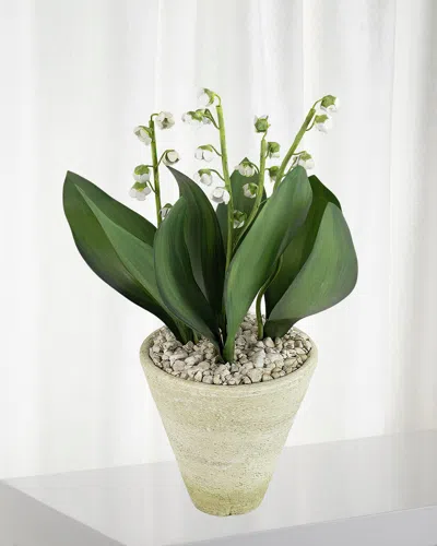 Tommy Mitchell Lily Of The Valley May Birth Flower In White Terracotta Pot In Multi