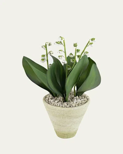 Tommy Mitchell Lily Of The Valley May Birth Flower In White Terracotta Pot In Green