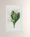 Tommy Mitchell Lily Of The Valley May Birth Flower Wall Art In White