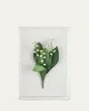 Tommy Mitchell Lily Of The Valley May Birth Flower Wall Art In White