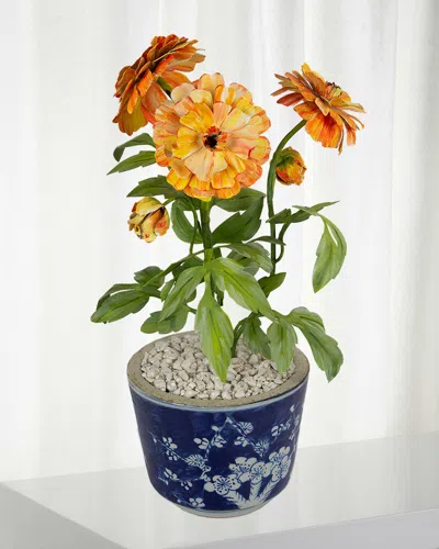 Tommy Mitchell Marigold October Birth Flower In Ceramic Pot In Orange