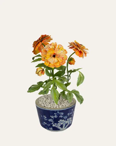 Tommy Mitchell Marigold October Birth Flower In Ceramic Pot In Blue