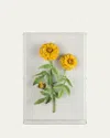 Tommy Mitchell Marigold October Birth Flower Wall Art In Orange