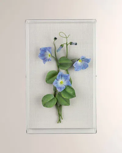 Tommy Mitchell Morning Glory September Birth Flower Wall Art In Multi