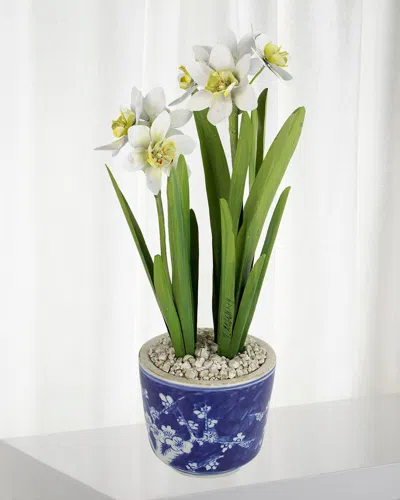 Tommy Mitchell Narcissus December Birth Flower In Blue/white Ceramic Pot