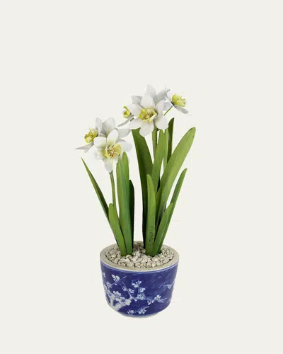TOMMY MITCHELL NARCISSUS DECEMBER BIRTH FLOWER IN BLUE/WHITE CERAMIC POT