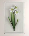 Tommy Mitchell Narcissus December Birth Flower Wall Art In Green