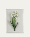 Tommy Mitchell Narcissus December Birth Flower Wall Art In White
