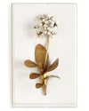 Tommy Mitchell Original Gilded Primula Study On Linen In Gold