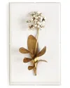 Tommy Mitchell Original Gilded Primula Study On Linen In Gold