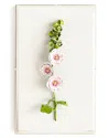 Tommy Mitchell Original Painted Hollyhock Study In Pink