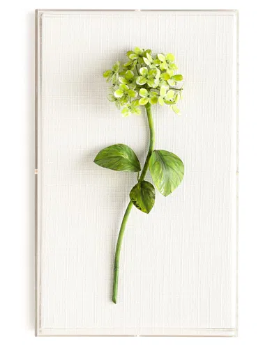 Tommy Mitchell Original Painted Hydrangea Study In Green