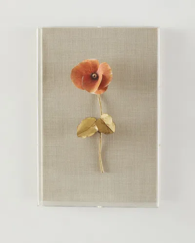 Tommy Mitchell Pansy Study 1 Wall Art In Multi