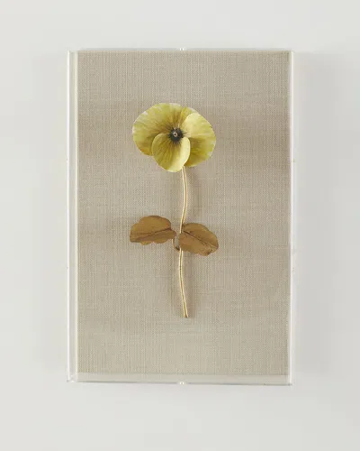 Tommy Mitchell Pansy Study 2 Wall Art In Multi
