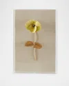 Tommy Mitchell Pansy Study 2 Wall Art In Yellow On Natural Linen