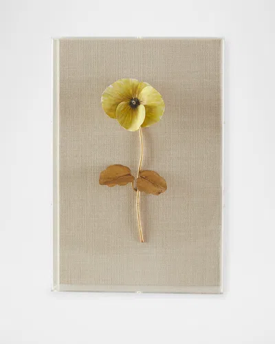 Tommy Mitchell Pansy Study 2 Wall Art In Black