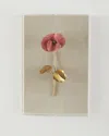 Tommy Mitchell Pansy Study 3 Wall Art In Multi