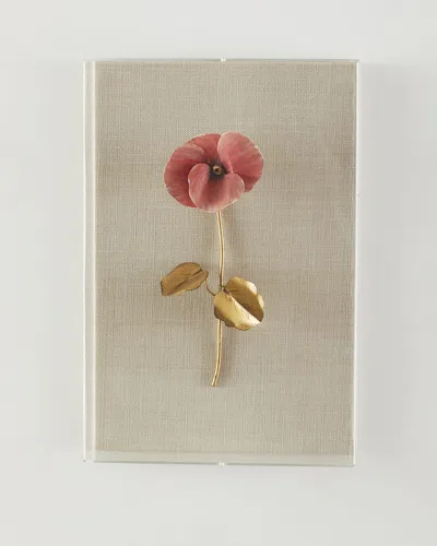 Tommy Mitchell Pansy Study 3 Wall Art In Multi