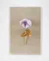 Tommy Mitchell Pansy Study 4 Wall Art In Lavender Pansy On Natural Linen