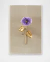 Tommy Mitchell Pansy Study 5 Wall Art In Brown