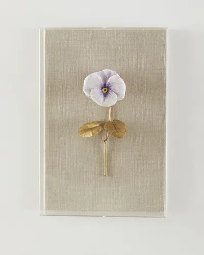 Tommy Mitchell Pansy Study 6 Wall Art In Brown
