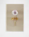 Tommy Mitchell Pansy Study 6 Wall Art In White/lavender Pansy On Natural Linen