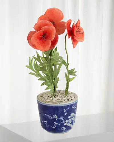 Tommy Mitchell Poppy August Birth Flower In Ceramic Pot In Multi