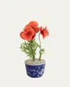 Tommy Mitchell Poppy August Birth Flower In Ceramic Pot In Coral Red