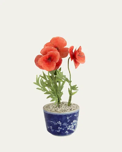 TOMMY MITCHELL POPPY AUGUST BIRTH FLOWER IN CERAMIC POT