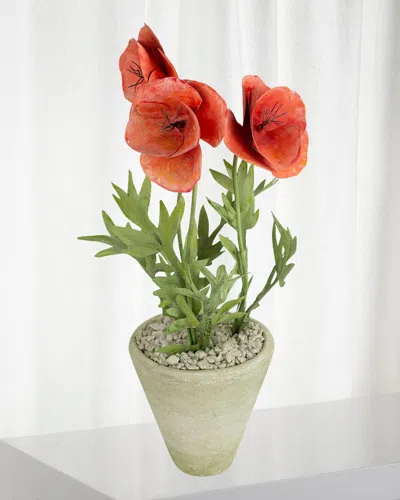 Tommy Mitchell Poppy August Birth Flower In White Terracotta Pot In Coral Red