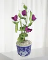 Tommy Mitchell Sweet Pea April Birth Flower In Ceramic Pot In Multi