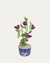 Tommy Mitchell Sweet Pea April Birth Flower In Ceramic Pot In Deep Pink
