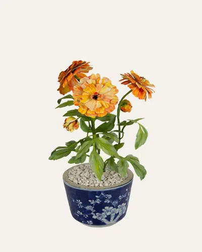 Tommy Mitchell Sweet Pea April Birth Flower In White Terracotta Pot In Blue