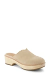 Toms Addison Suede Clog In Oatmeal Suede