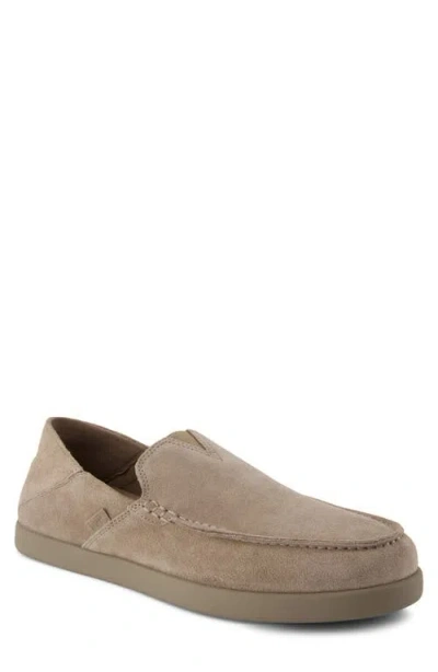 Toms Alonso Slip-on Sneaker In Multi